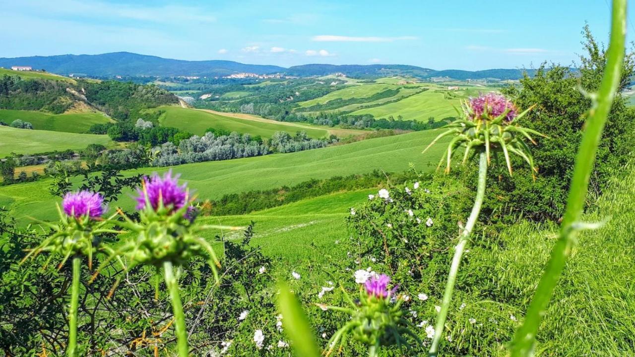 Casa Soleluna B&B Cortona Exterior foto